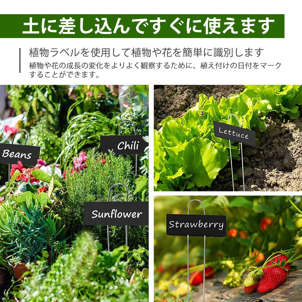 Amazon.co.jp: 植物ラベル 鉄製 園芸用ラベル T型 防錆 花の名前タグ
